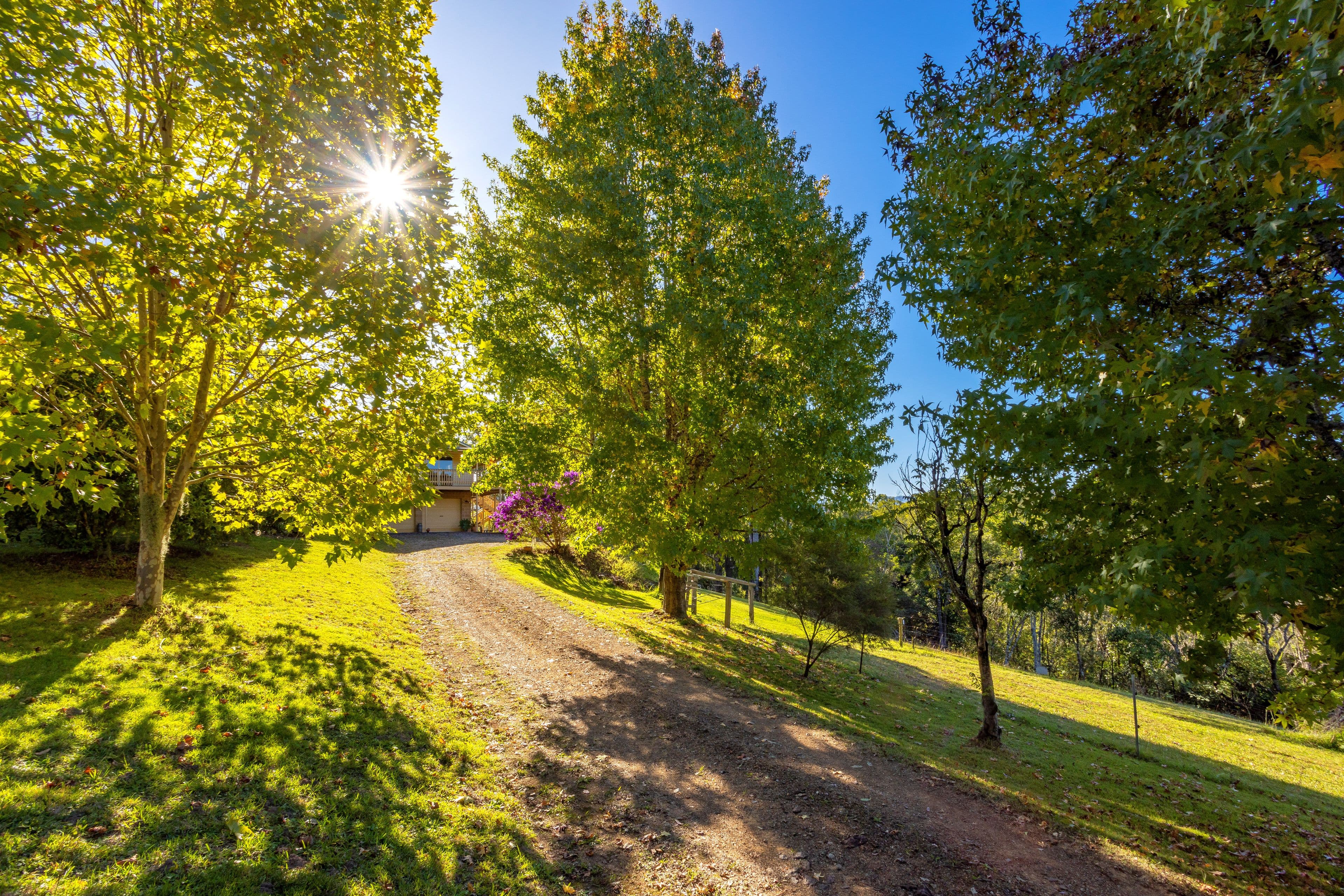 2050 Bulga Road, Bobin NSW 2429, Bobin - Thumbnail 2