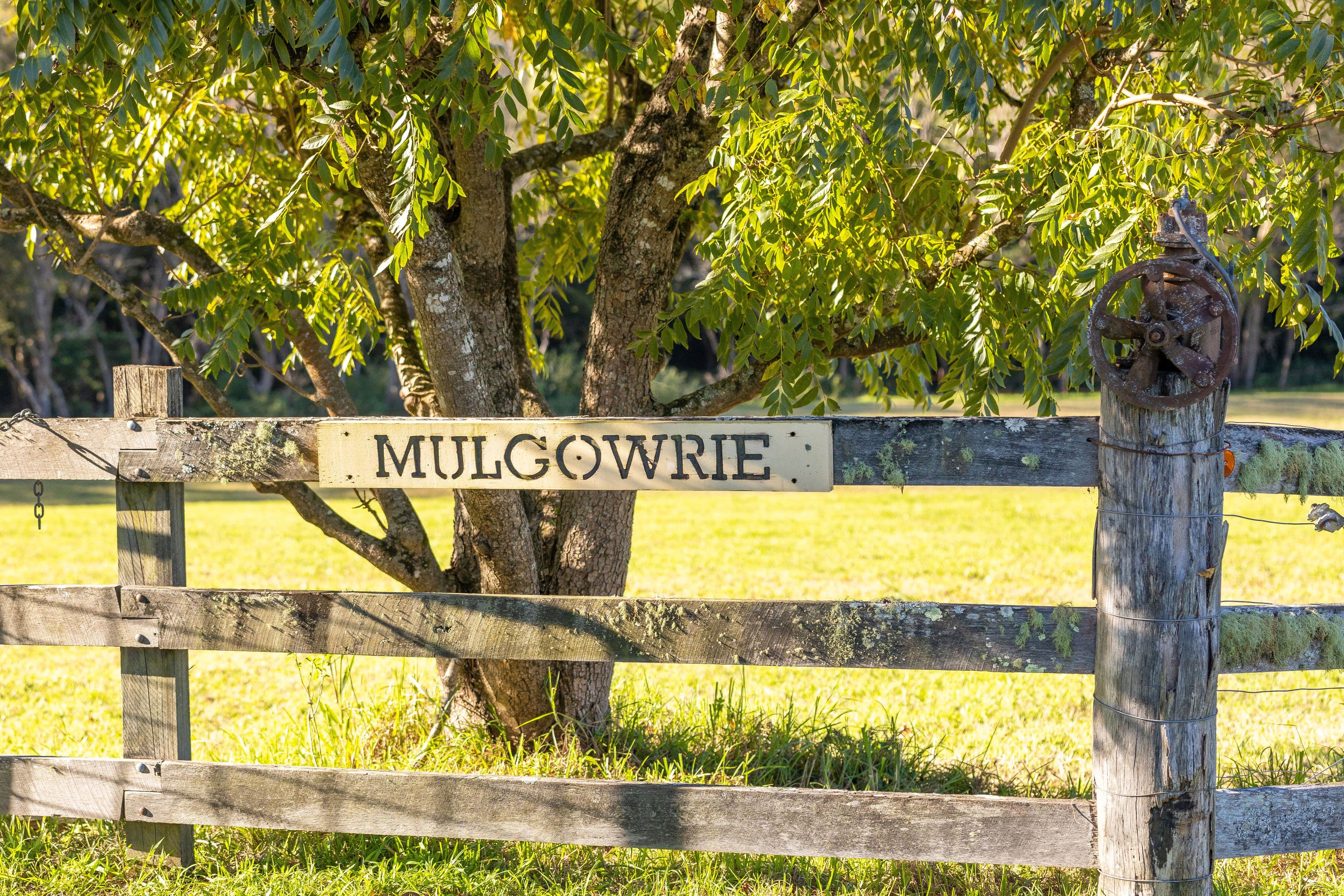 2050 Bulga Road, Bobin NSW 2429, Bobin - Thumbnail 3