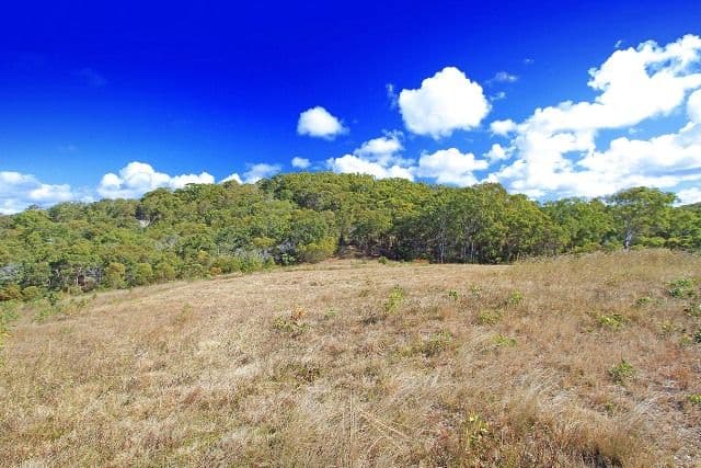 Lot 9 Woodbine Road, Bungundarra QLD 4703, Bungundarra - Thumbnail 3
