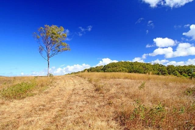 Lot 9 Woodbine Road, Bungundarra QLD 4703, Bungundarra - Thumbnail 4