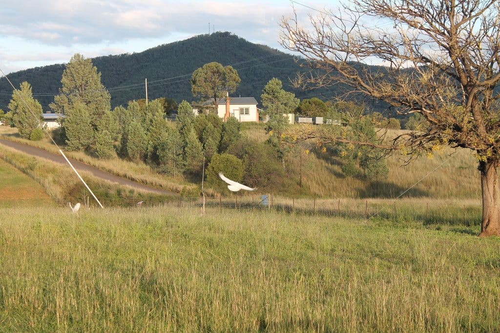 5 Salter Street, Bingara - Image 1
