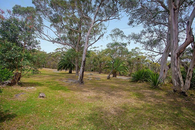 19 Sierra Road, ENGADINE NSW 2233, Engadine - Thumbnail 2