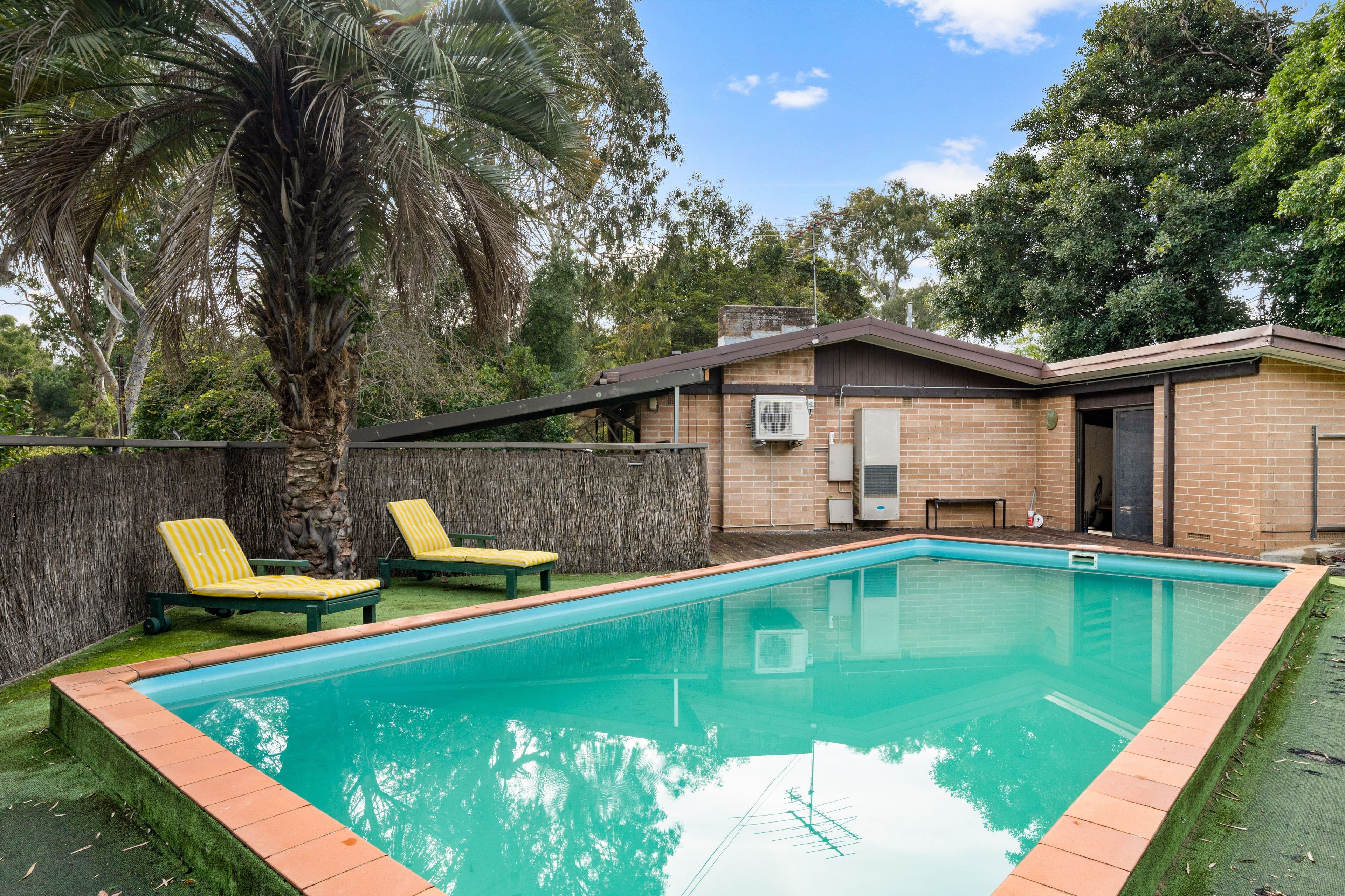 11 Butler Crescent, Banksia Park SA 5091, Banksia Park - Thumbnail 5