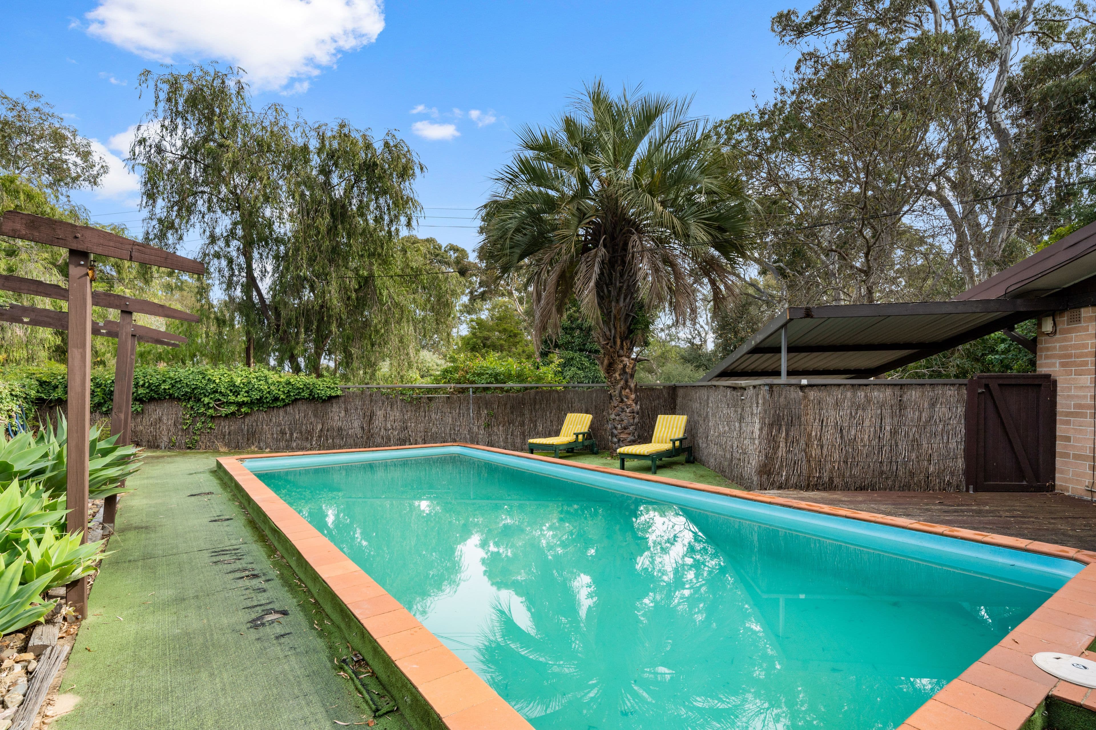 11 Butler Crescent, Banksia Park SA 5091, Banksia Park - Thumbnail 8