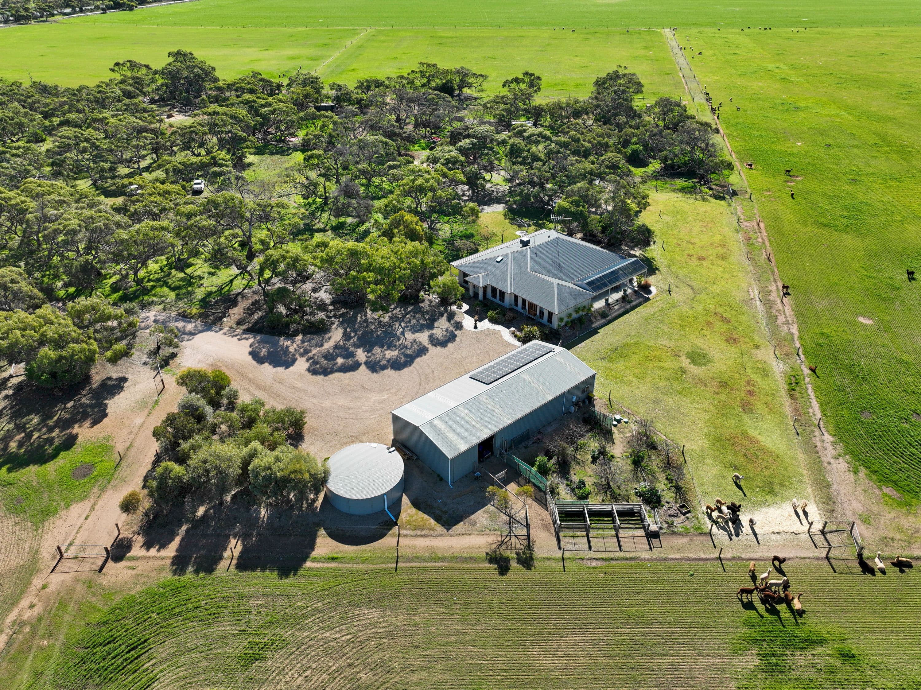20027 Spencer Highway, Koolywurtie SA 5575, Koolywurtie - Thumbnail 2