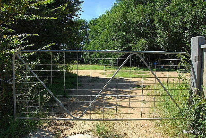85A Wallace Street, BRAIDWOOD NSW 2622, Braidwood - Thumbnail 4