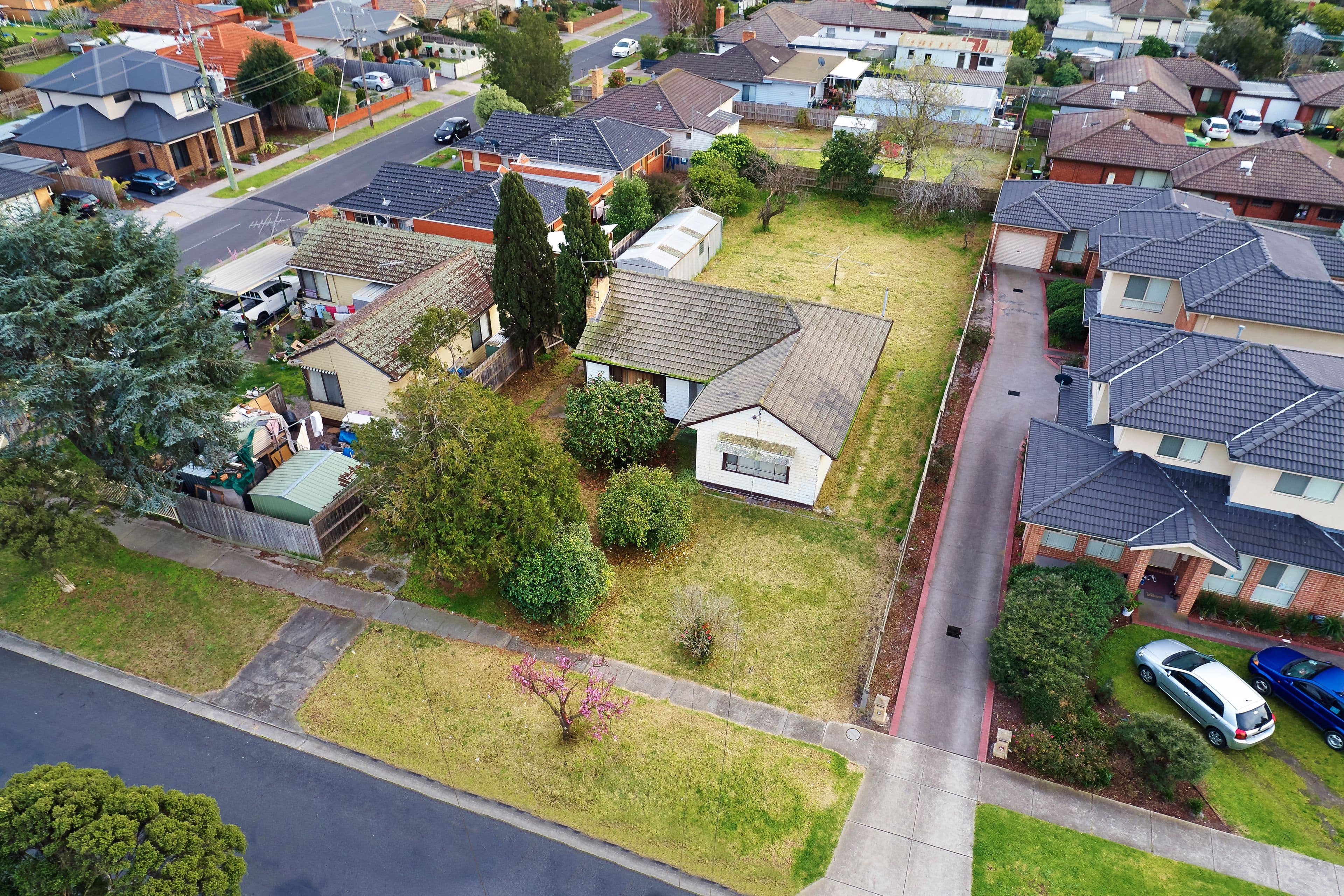17 Newport Road, Clayton South VIC 3169, Clayton South - Thumbnail 3