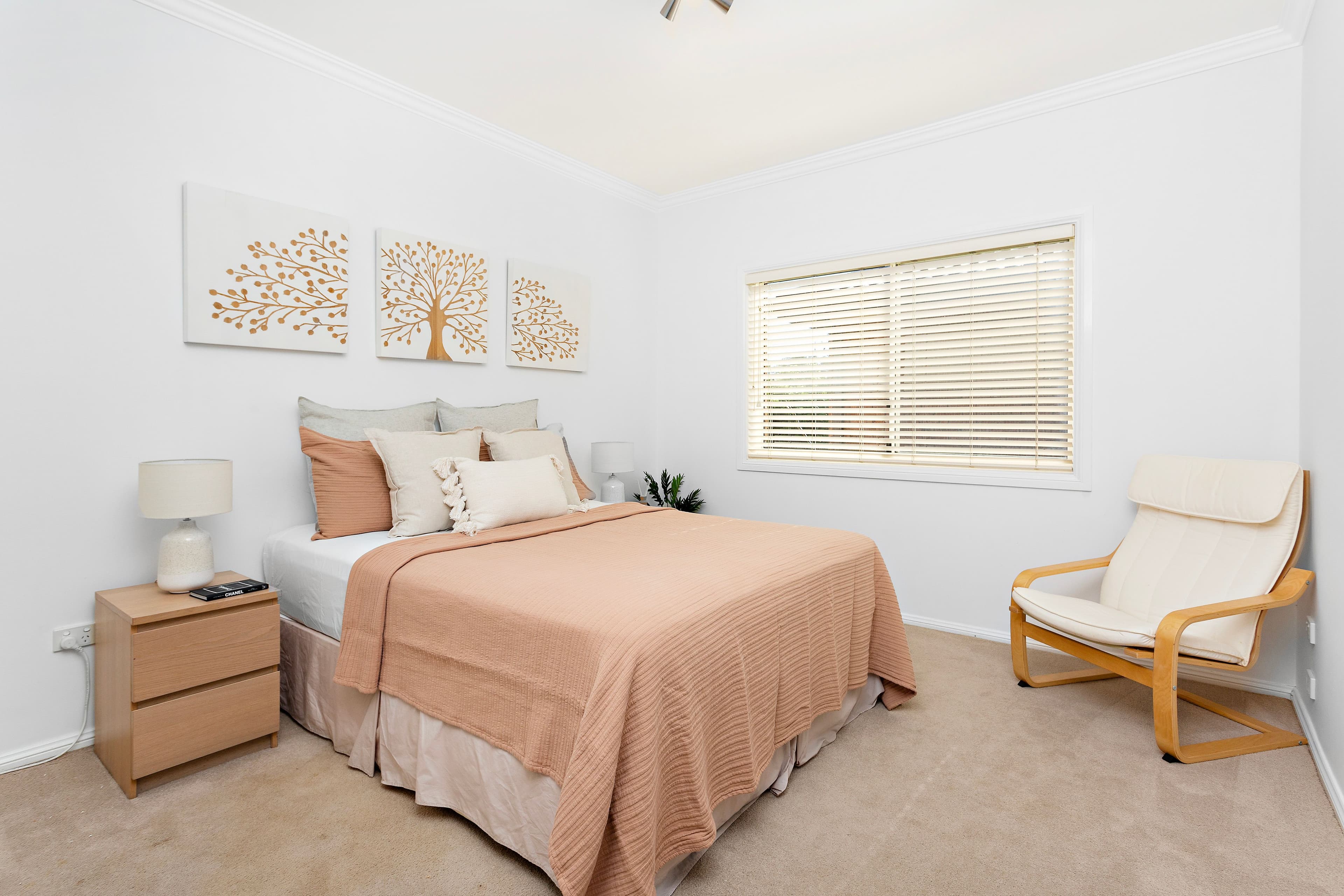 34 Taylor Street, Kiama NSW 2533, Kiama - Thumbnail 6