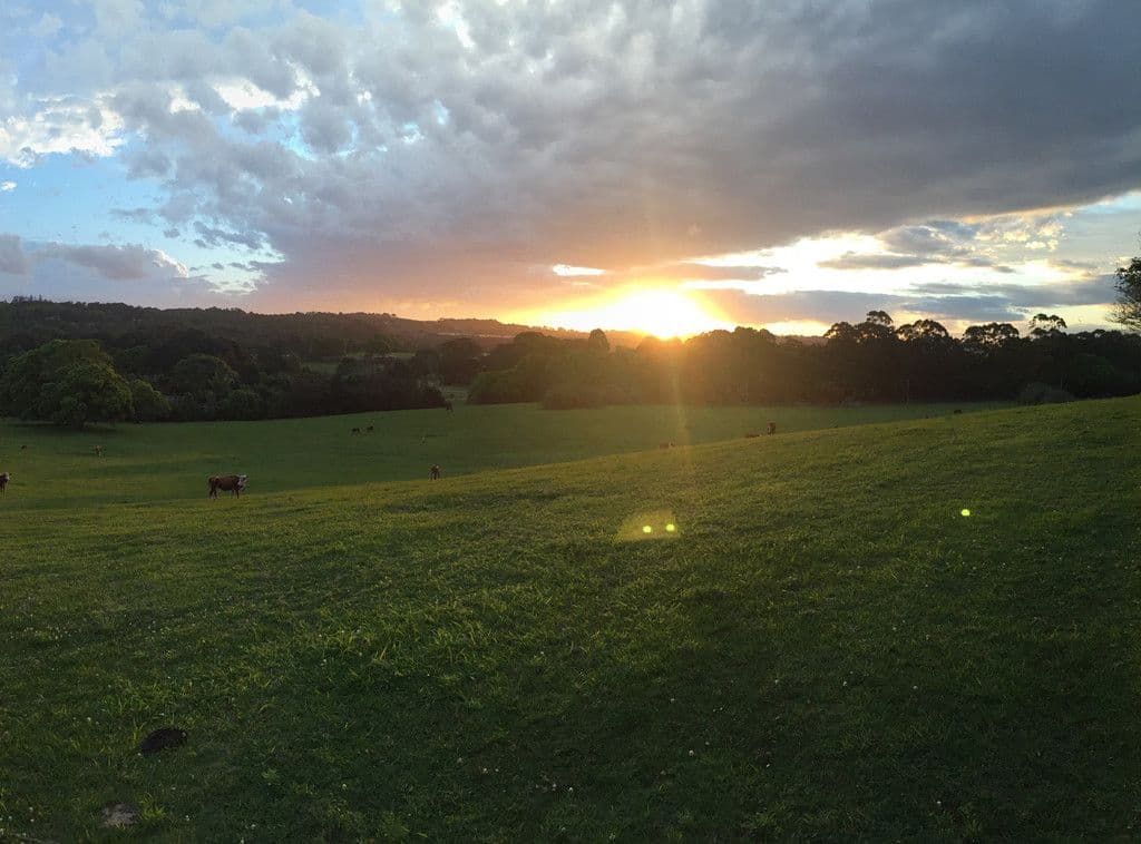 Lot 11 Scenic Vista, Cape View, Ewingsdale NSW 2481, Ewingsdale - Thumbnail 4