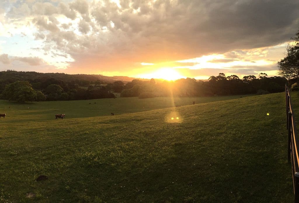 Lot 11 Scenic Vista, Cape View, Ewingsdale NSW 2481, Ewingsdale - Thumbnail 7