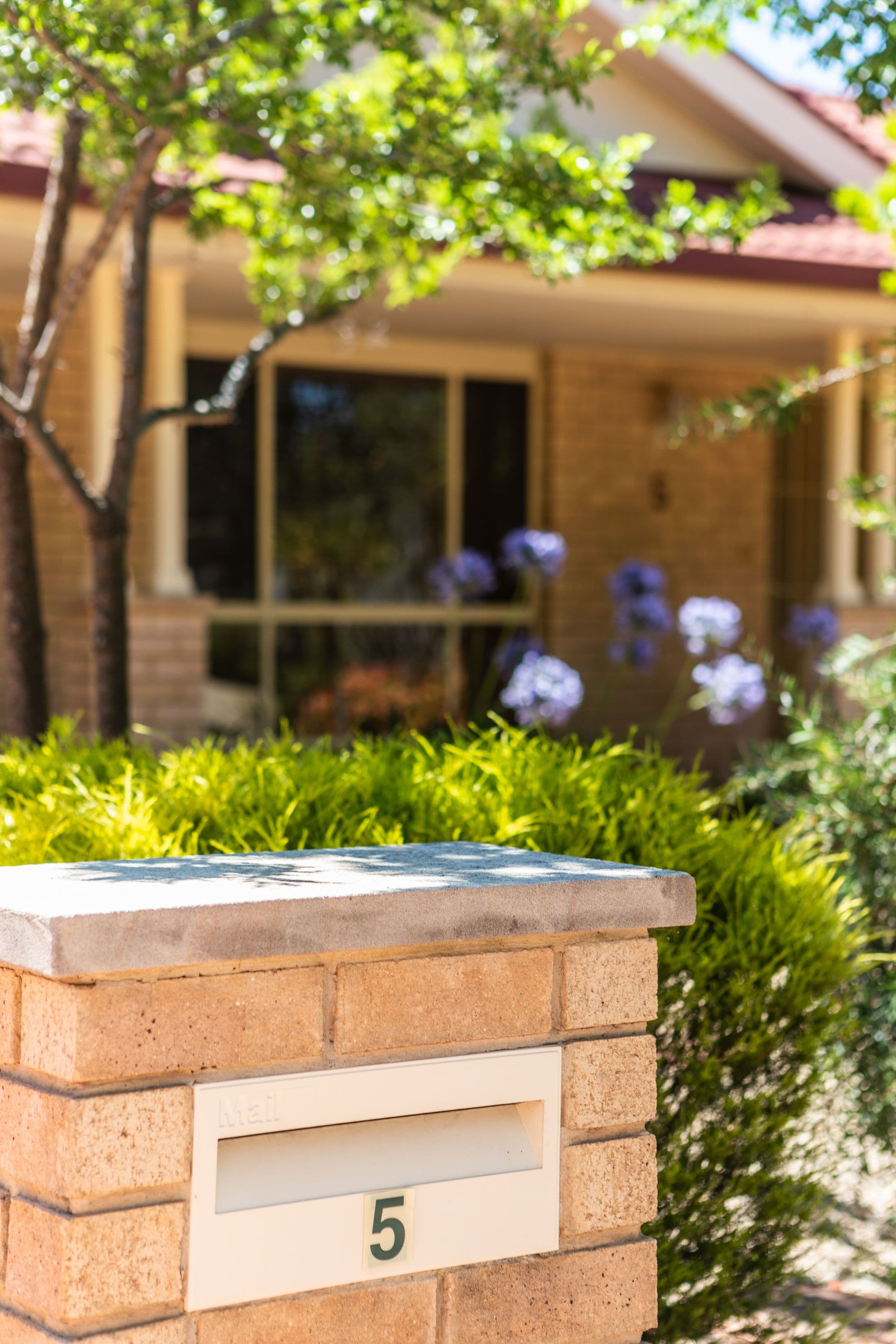 5 Larpent Street, Amaroo ACT 2914, Amaroo - Thumbnail 2