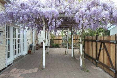 71 Elgin Street, MAITLAND NSW 2320, Maitland - Thumbnail 5
