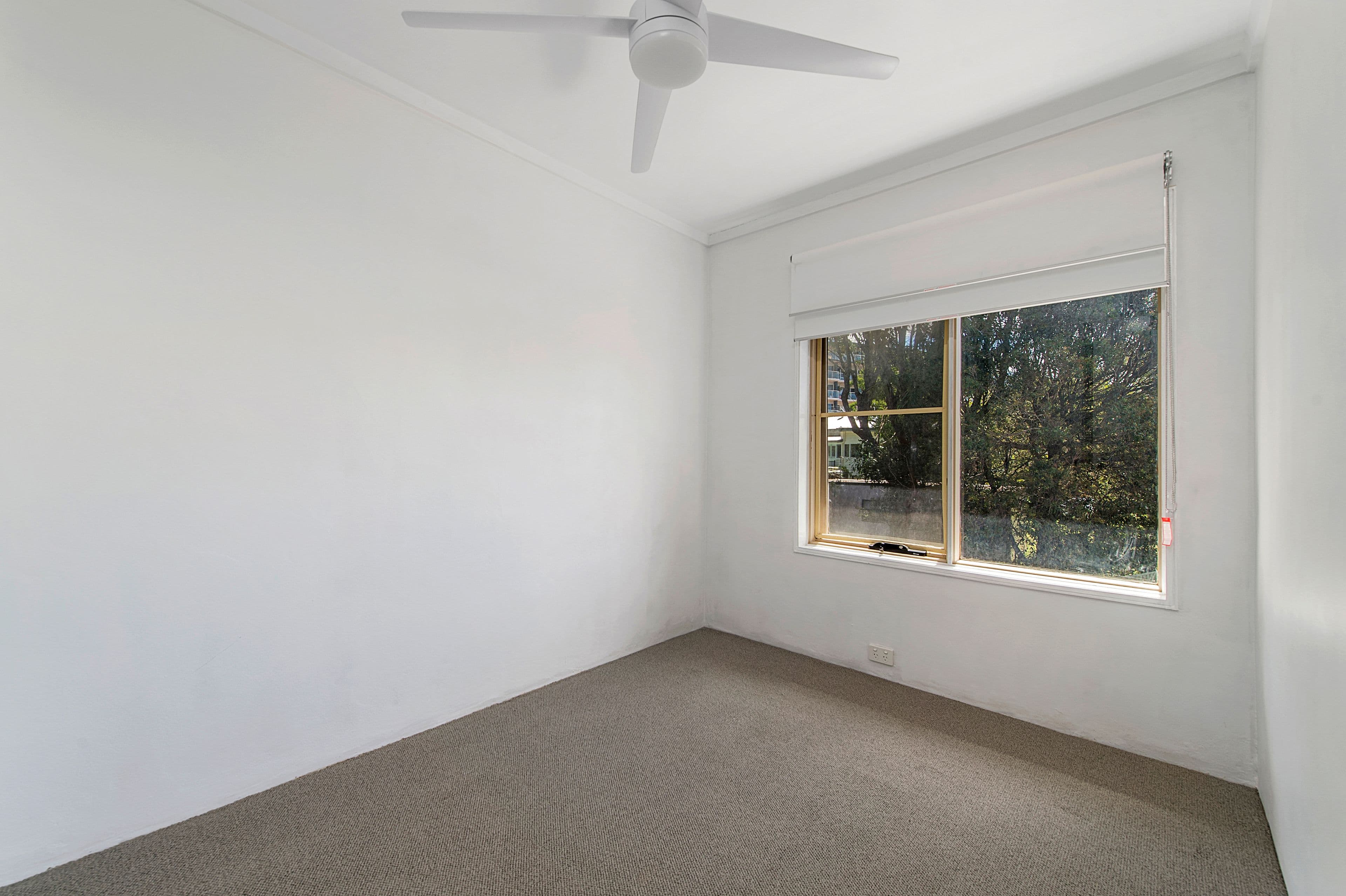 21 Park Street, Port Macquarie NSW 2444, Port Macquarie - Thumbnail 5
