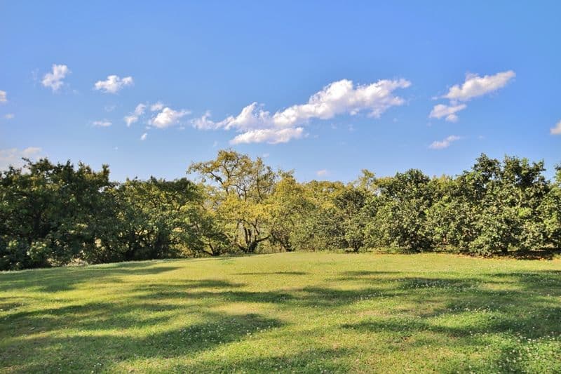 112 Veritz Road, Peachester QLD 4519, Peachester - Image 1