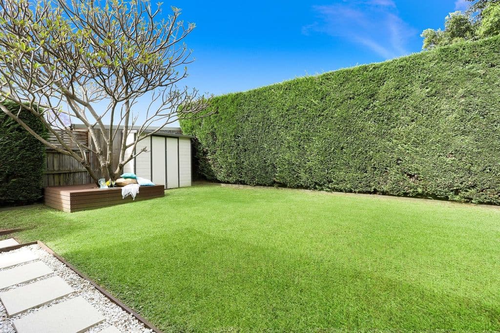16 Cove Street, Haberfield - Thumbnail 5