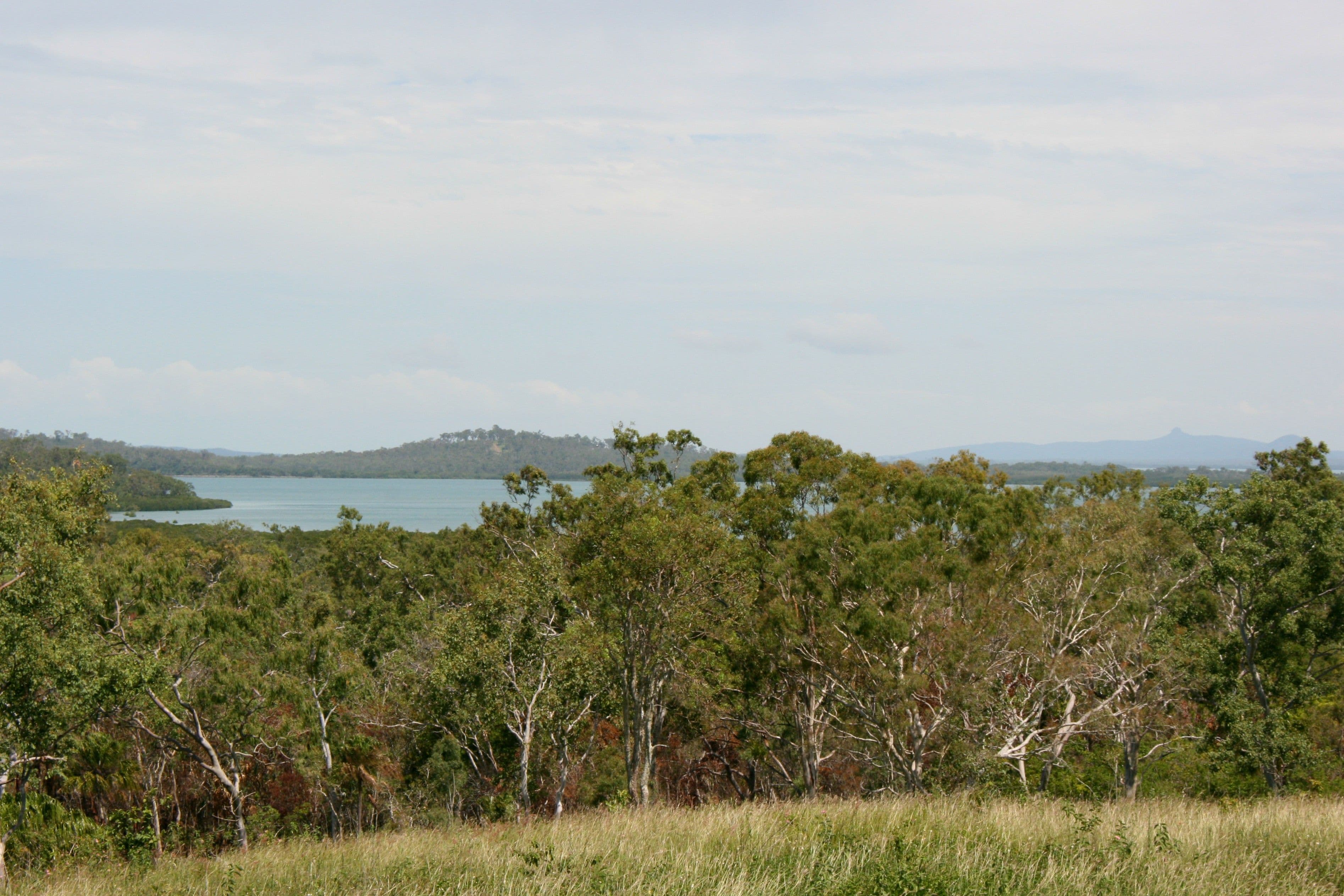 896 Sarina Beach Road, Sarina Beach QLD 4737, Sarina - Thumbnail 3