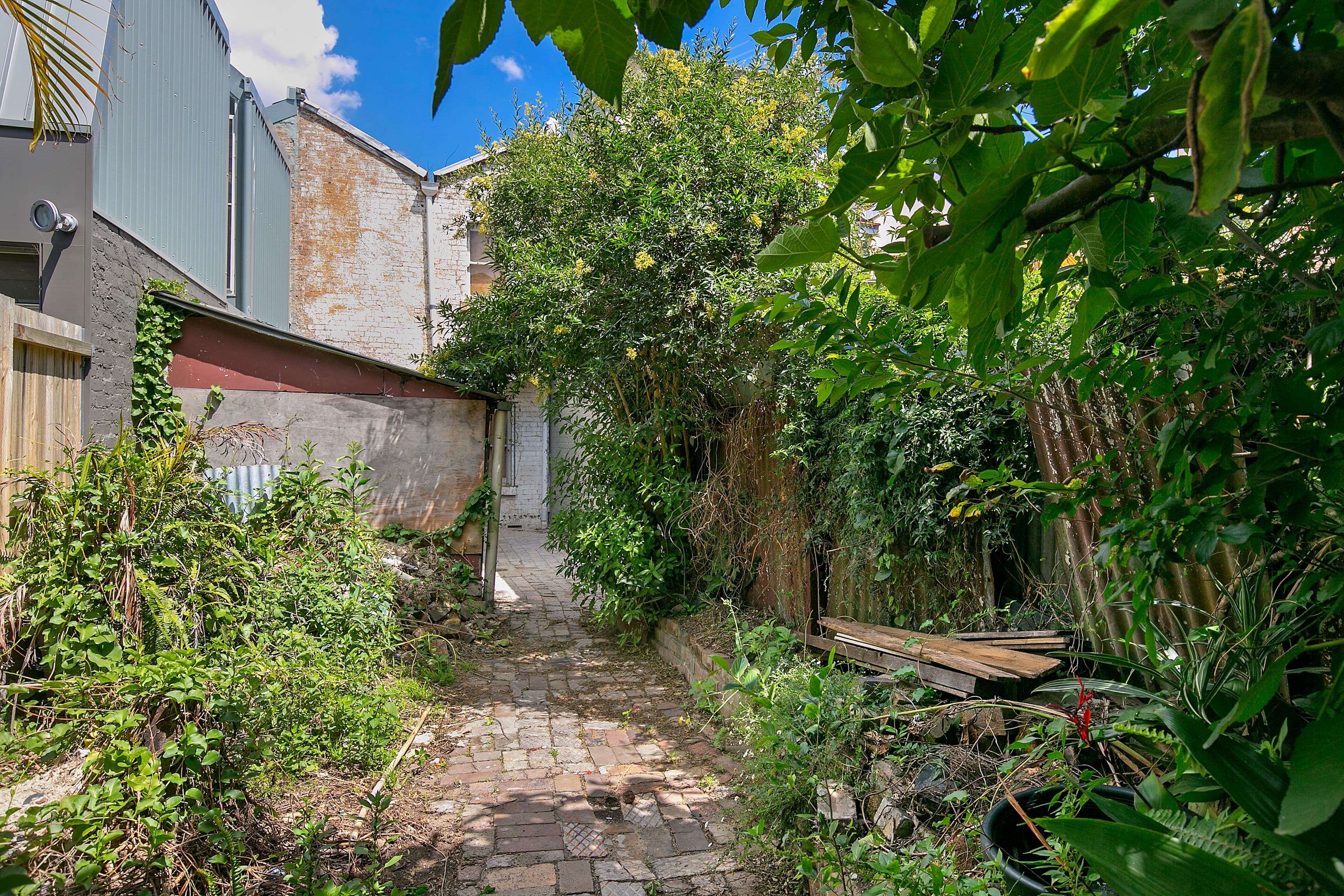 544 Elizabeth Street, Redfern - Thumbnail 4