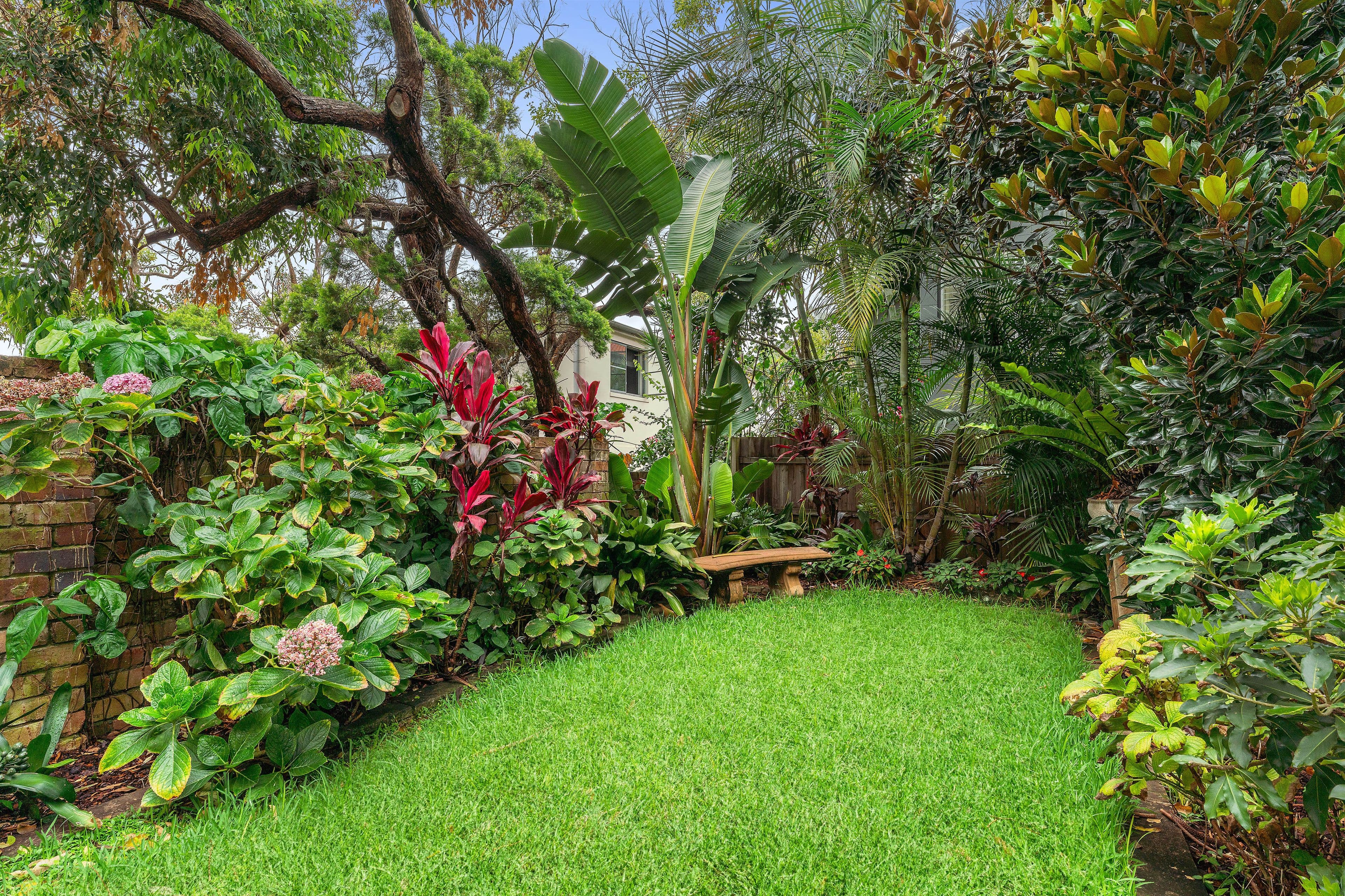 14 Cross Street, Bronte NSW 2024, Bronte - Thumbnail 5