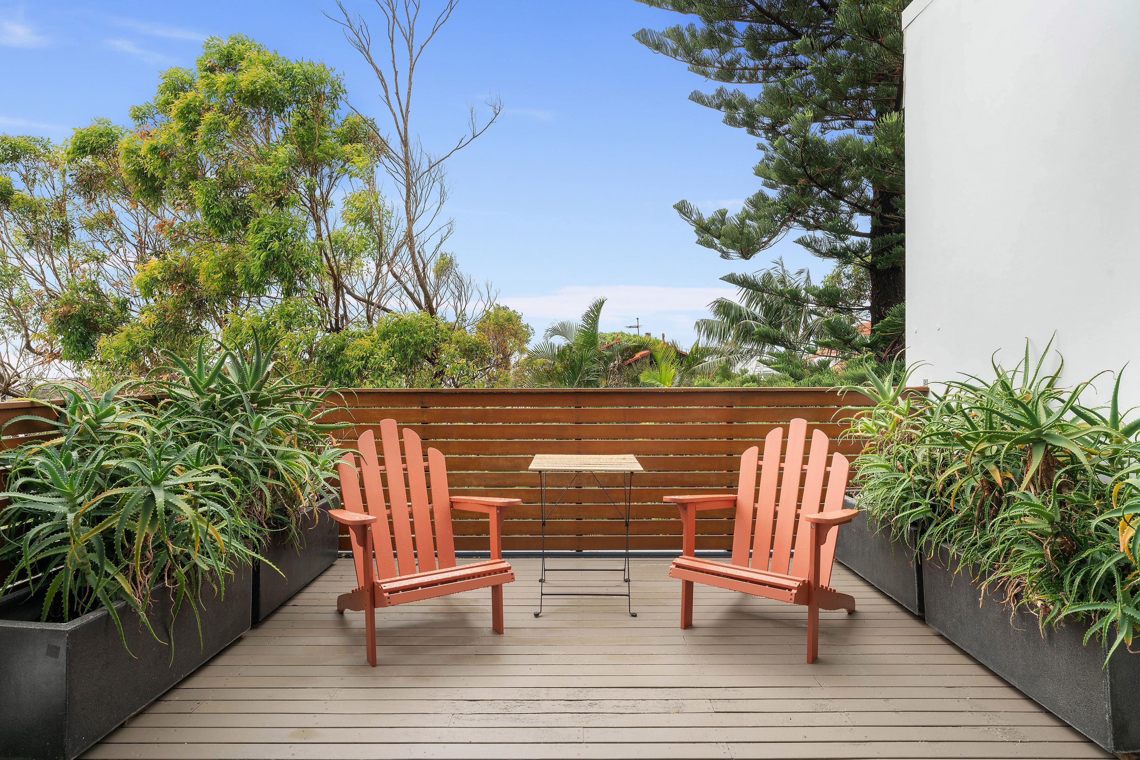 14 Cross Street, Bronte NSW 2024, Bronte - Thumbnail 8