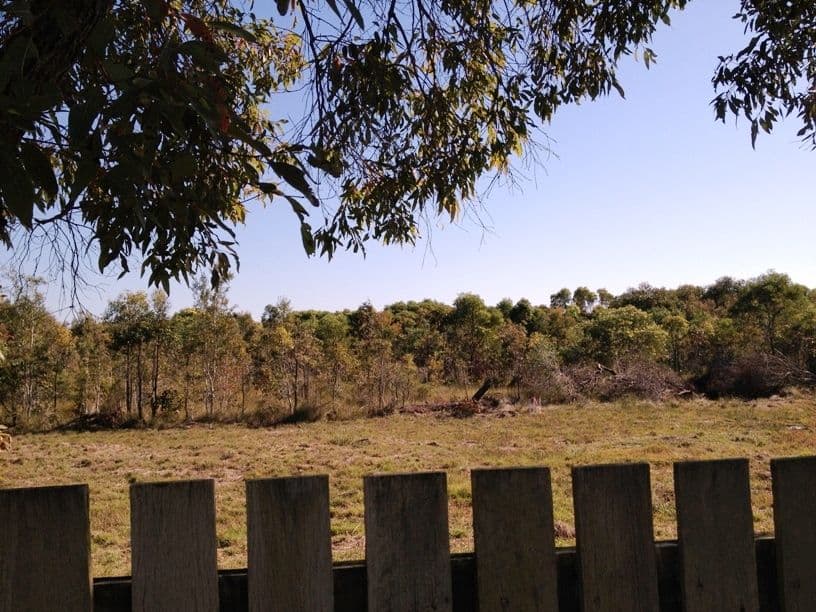 BONGAREE QLD 4507, Bongaree - Thumbnail 6