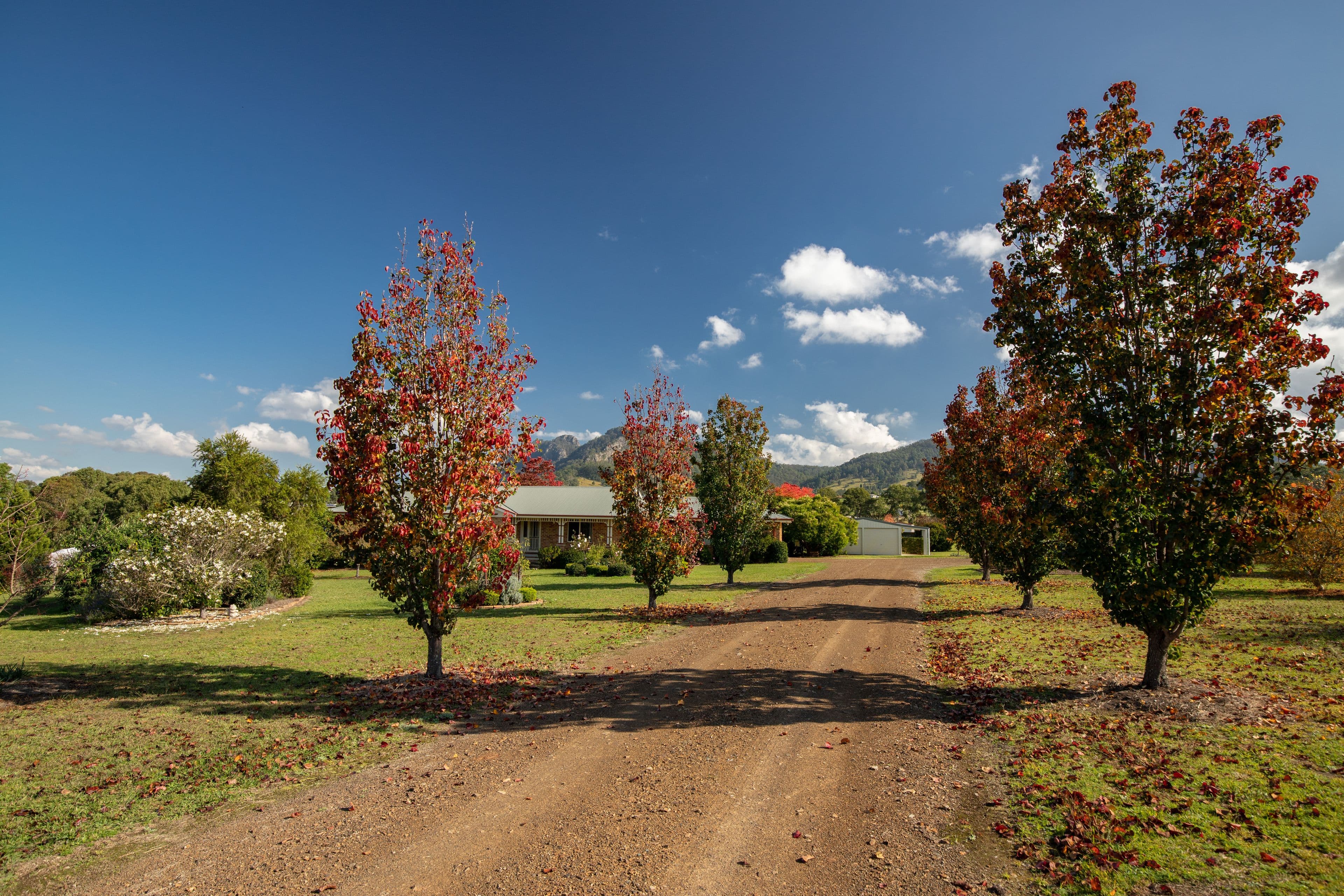 16 Craven Close, Gloucester NSW 2422, Gloucester - Thumbnail 2