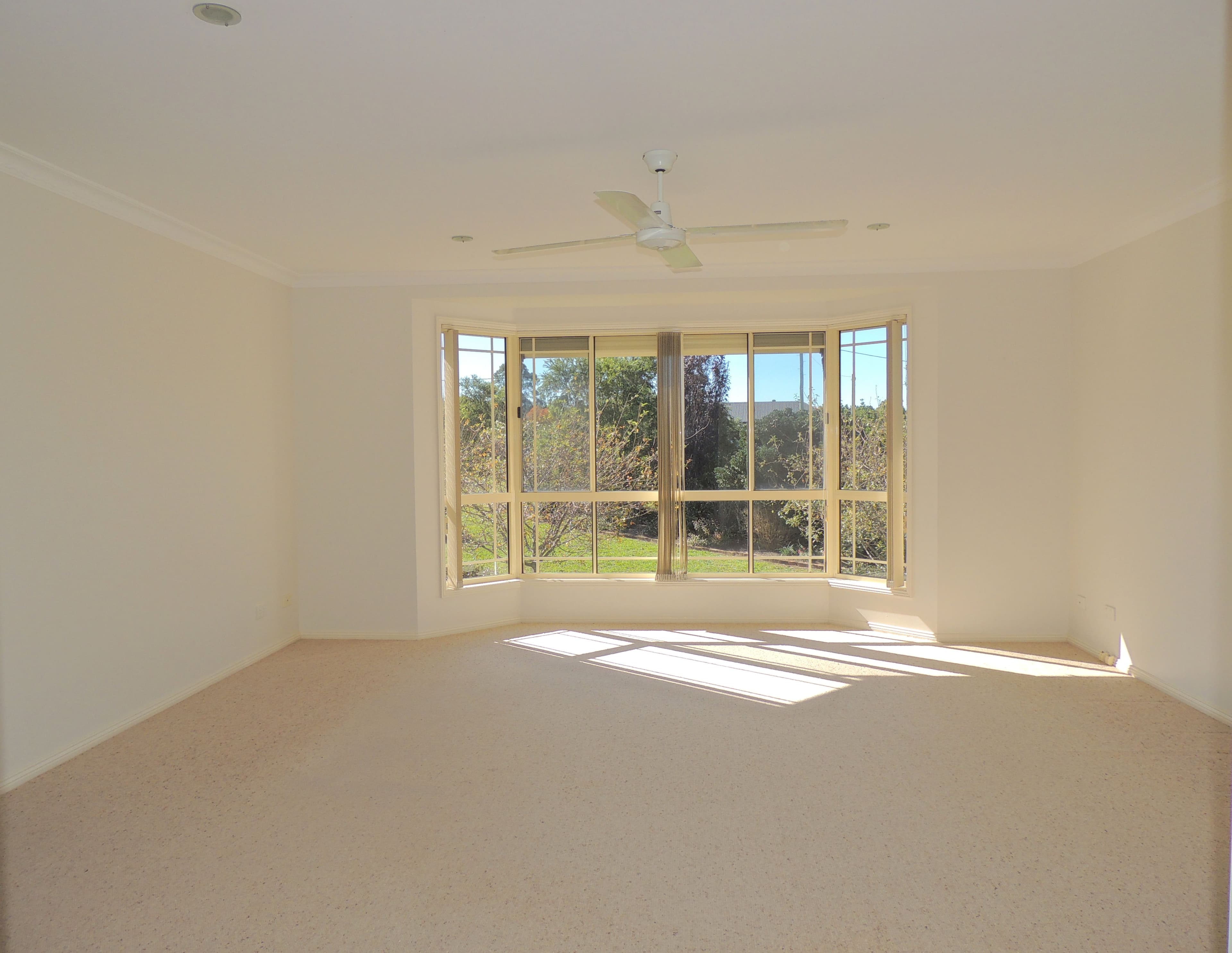16 Craven Close, Gloucester NSW 2422, Gloucester - Thumbnail 5
