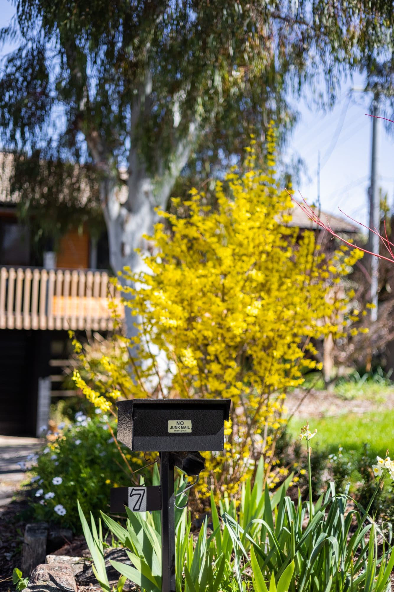 7 Linger Place, Melba ACT 2615, Melba - Thumbnail 4