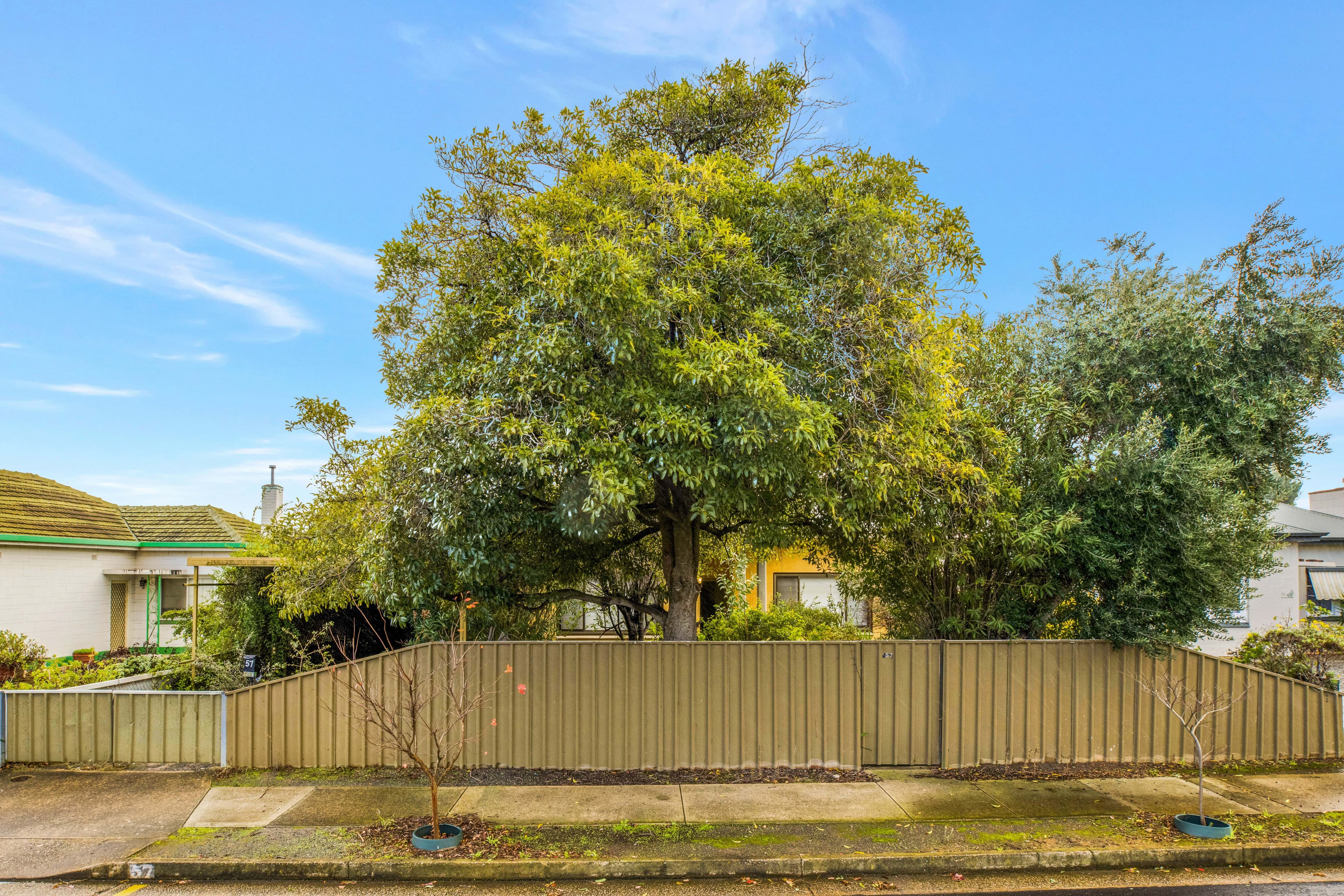 57 Nelson Street, South Plympton SA 5038, South Plympton - Thumbnail 5