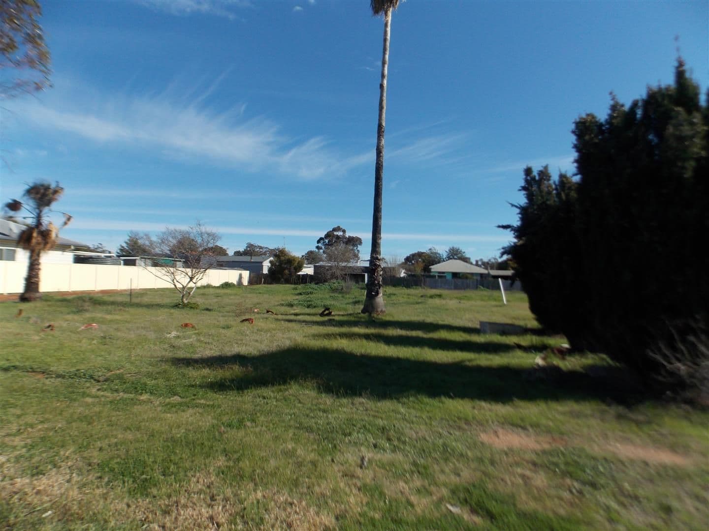 14-16 Junction Street, Parkes NSW 2870, Parkes - Thumbnail 2