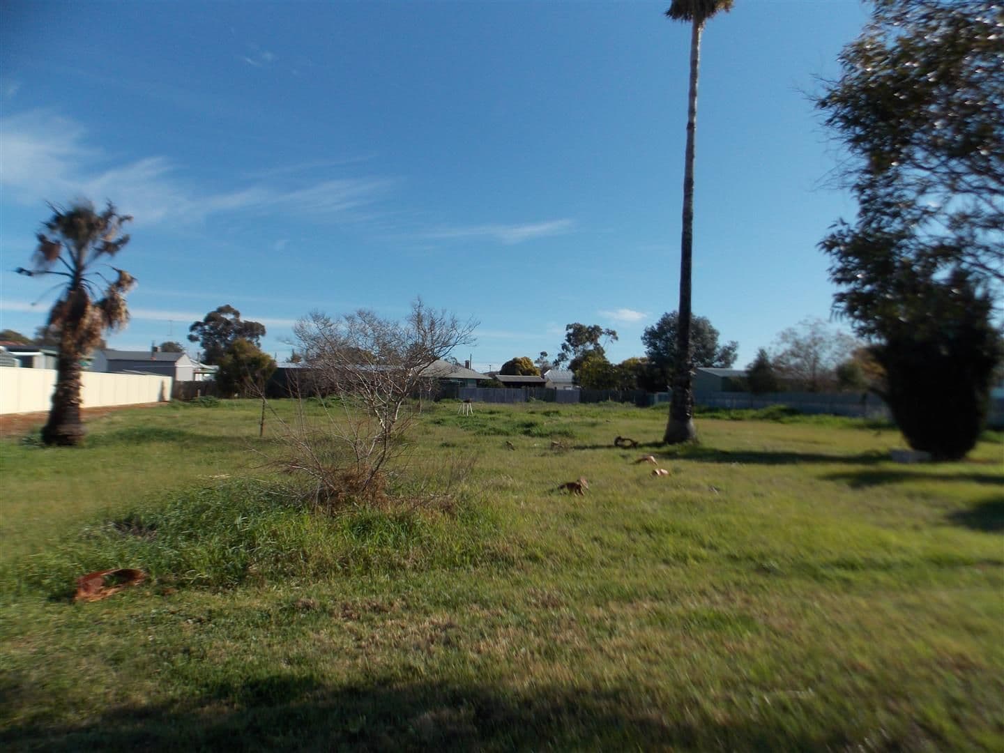 14-16 Junction Street, Parkes NSW 2870, Parkes - Thumbnail 3