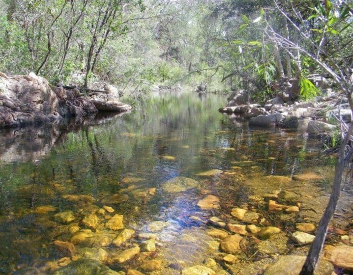 1221 Dude Ranch Road, IVERAGH QLD 4680, Iveragh - Thumbnail 3