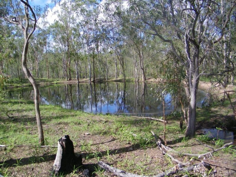 1221 Dude Ranch Road, IVERAGH QLD 4680, Iveragh - Thumbnail 5