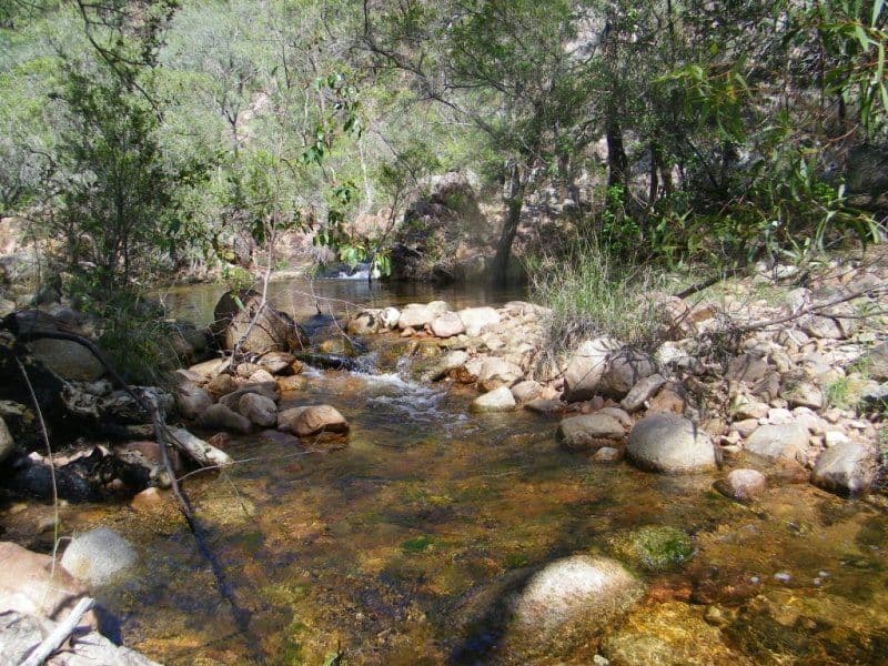 1221 Dude Ranch Road, IVERAGH QLD 4680, Iveragh - Thumbnail 7
