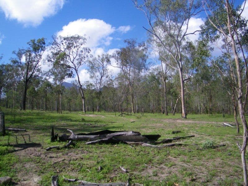 1221 Dude Ranch Road, IVERAGH QLD 4680, Iveragh - Thumbnail 8
