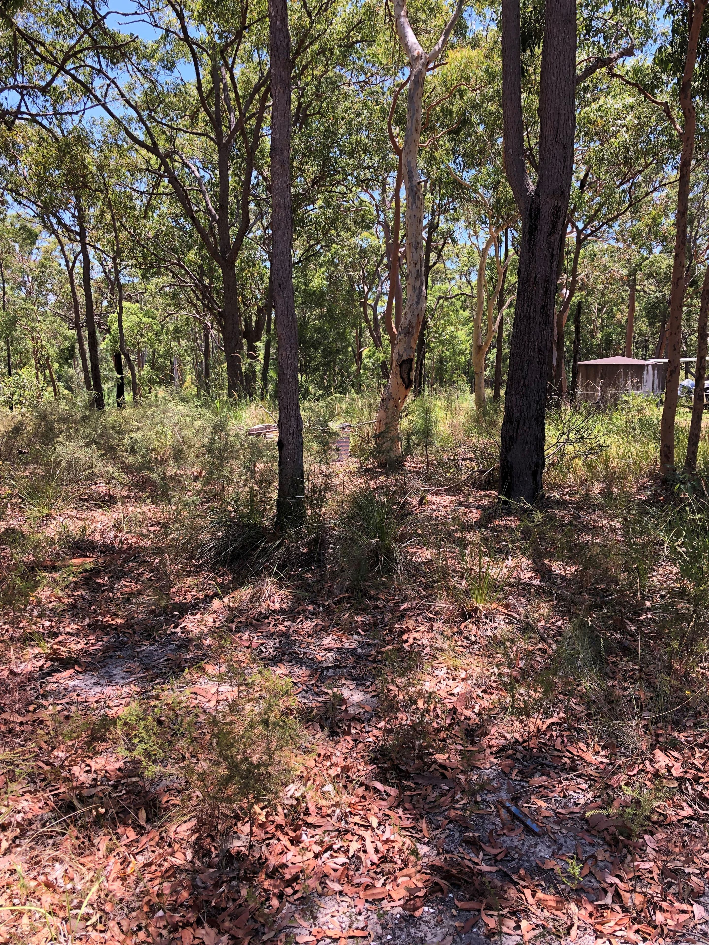 13 High Street, Bundabah NSW 2324, Bundabah - Thumbnail 2