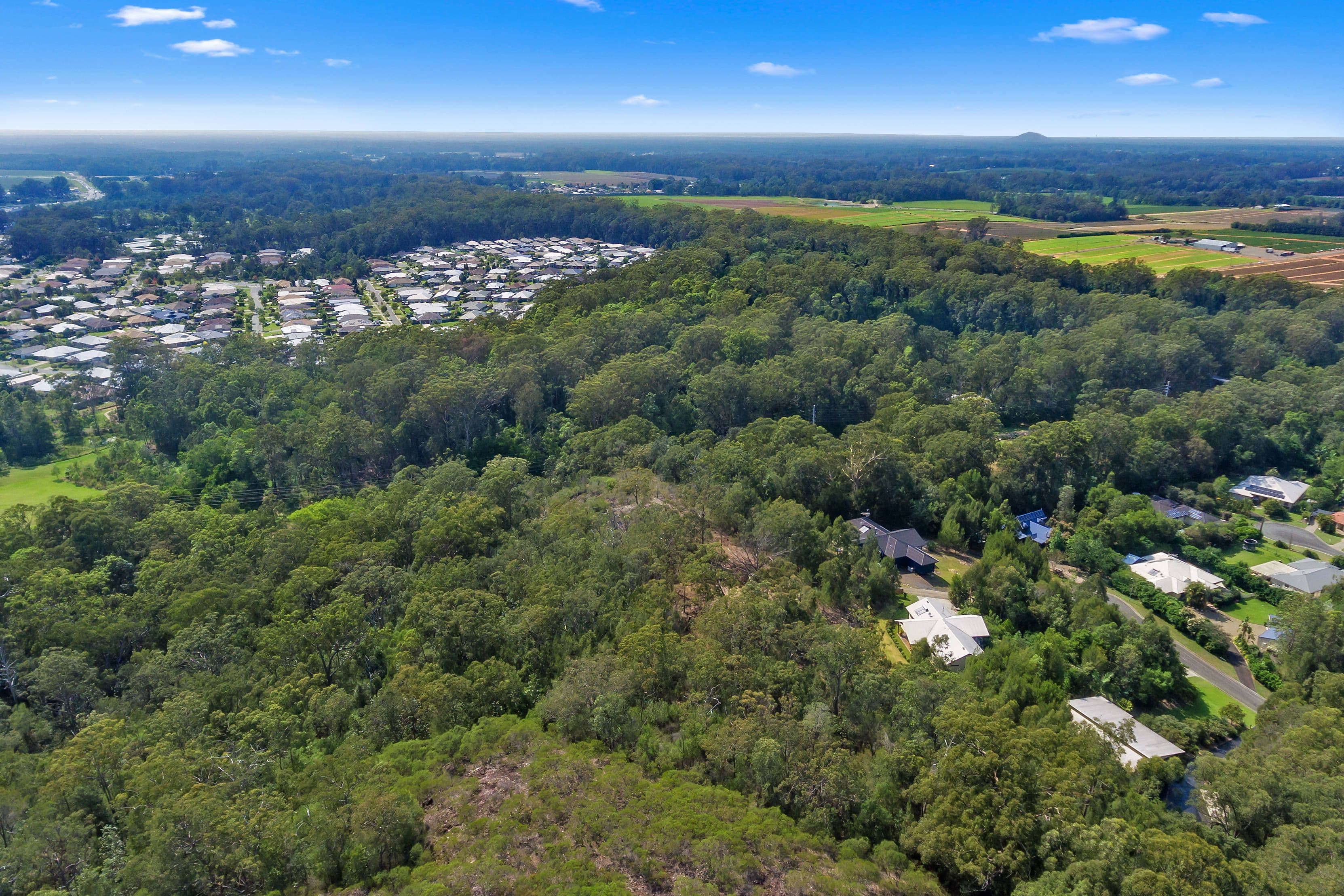(Lot 93) 6 Inverleigh Court, Beerwah QLD 4519, Beerwah - Thumbnail 7