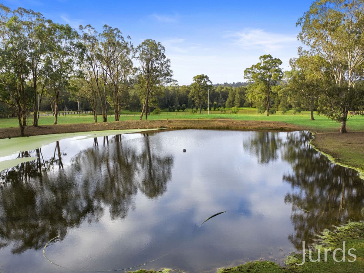 1356 Wine Country Drive, Rothbury, Rothbury - Thumbnail 4