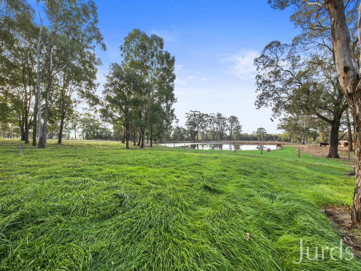 1356 Wine Country Drive, Rothbury, Rothbury - Thumbnail 5