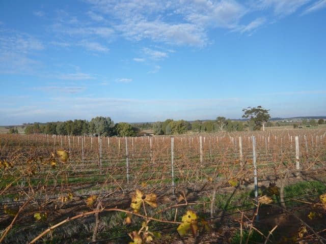 Lot 746 Kelly Road, AUBURN SA 5451, Auburn - Thumbnail 6