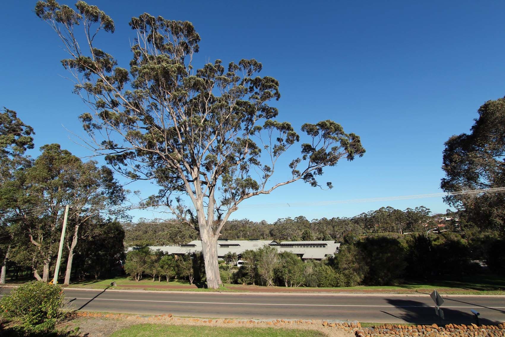 63 Scotsdale Road, Denmark WA 6333, Denmark - Thumbnail 2