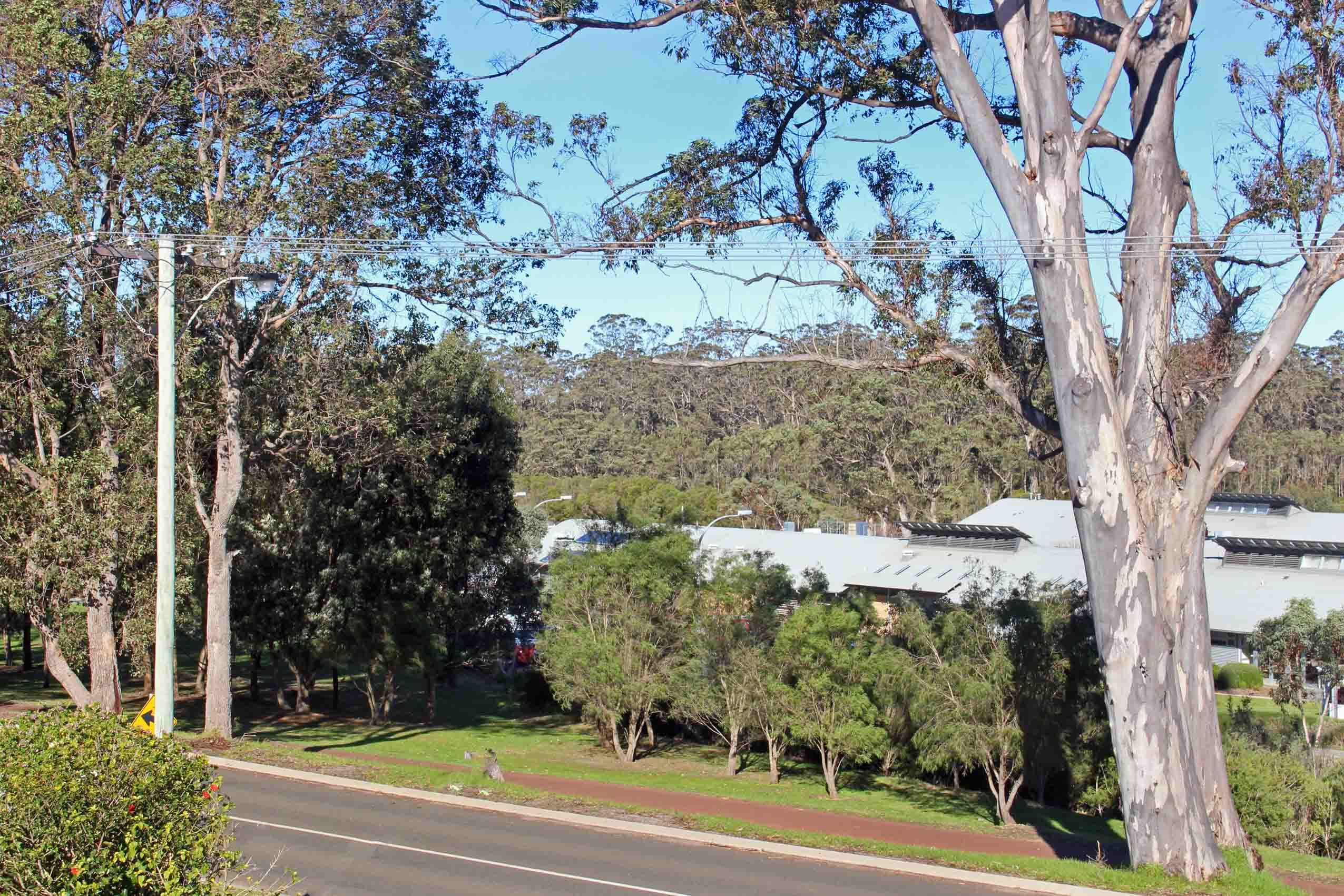 63 Scotsdale Road, Denmark WA 6333, Denmark - Thumbnail 3