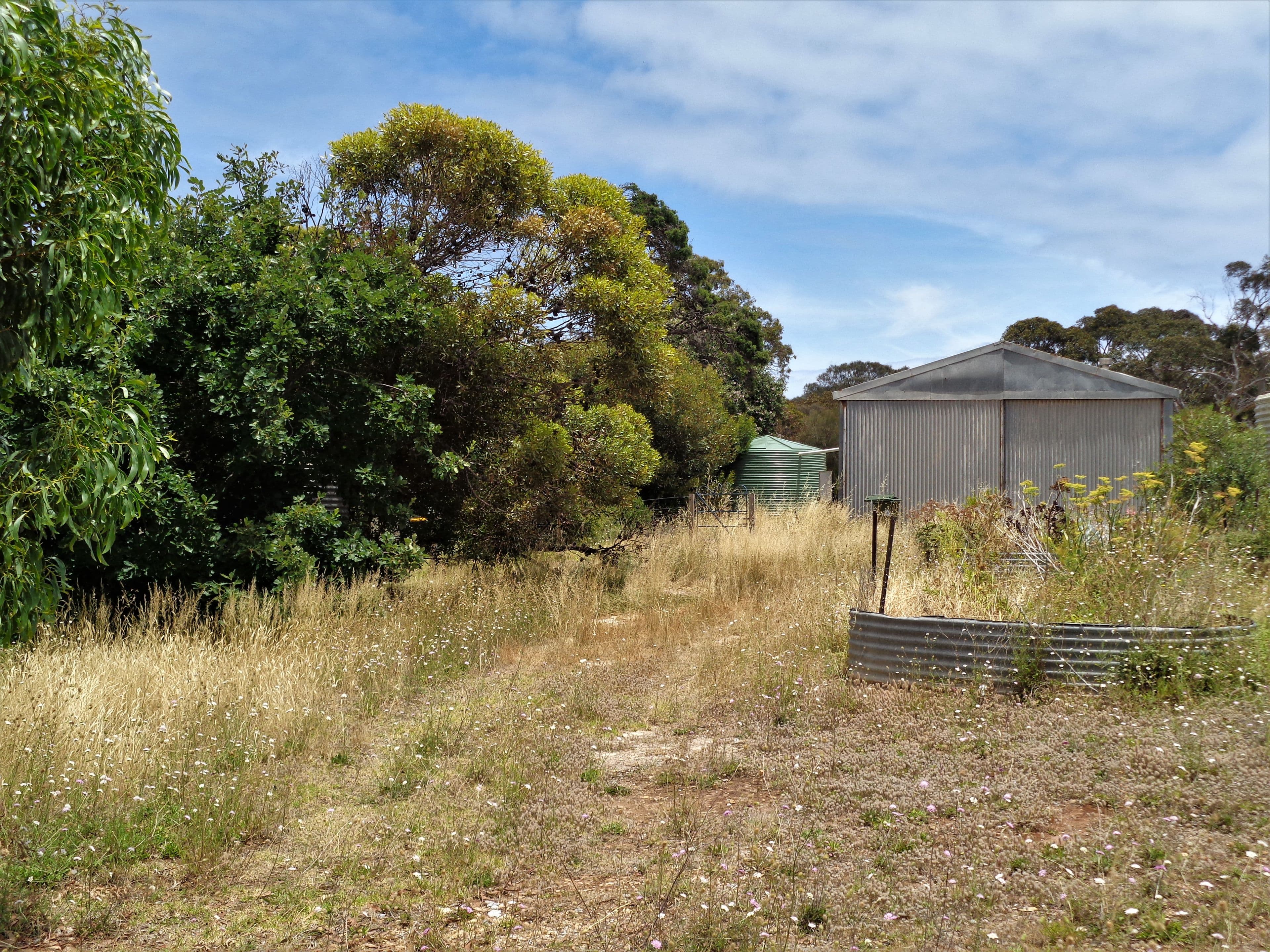 32 James Street, Cape Jervis SA 5204, Cape Jervis - Image 1