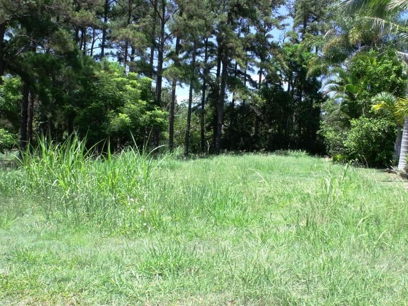 46  Cavendish Street, RUSSELL ISLAND QLD 4184, Russell Island - Image 1