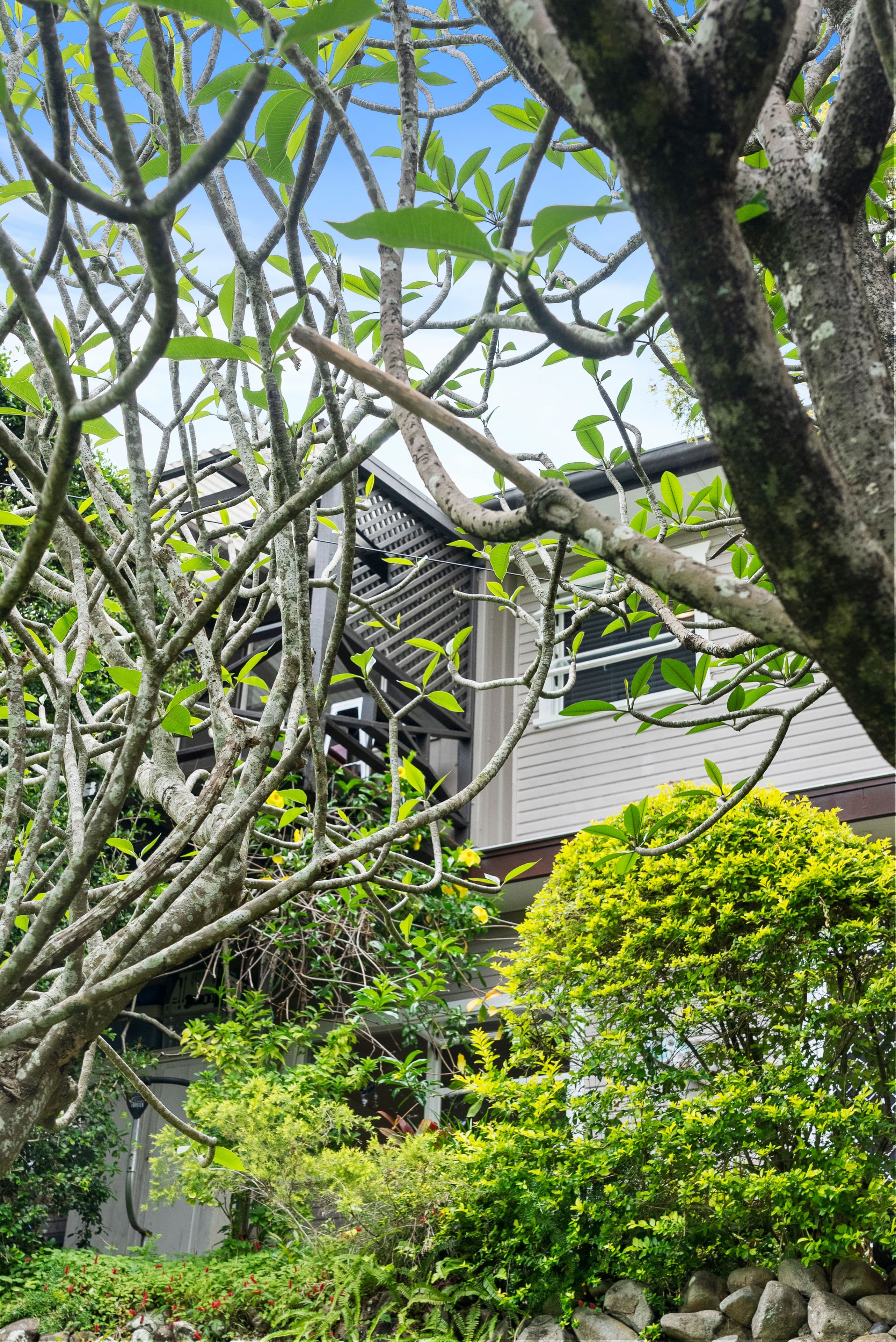 24 Inala Avenue, Tugun QLD 4224, Tugun - Thumbnail 3