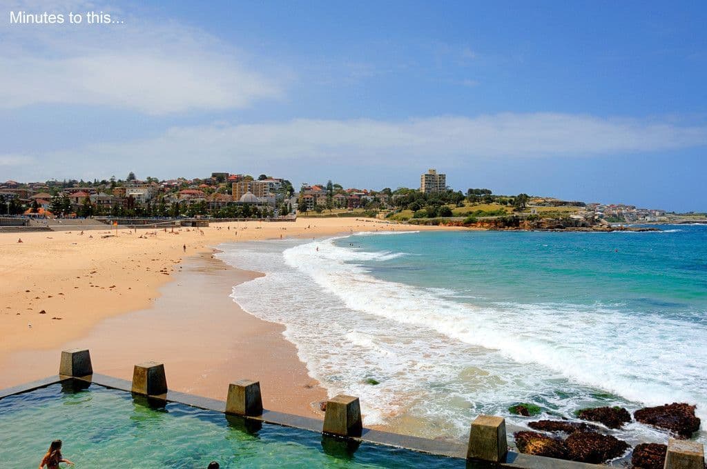 7 Berwick Street, Coogee NSW 2034, Coogee - Thumbnail 8