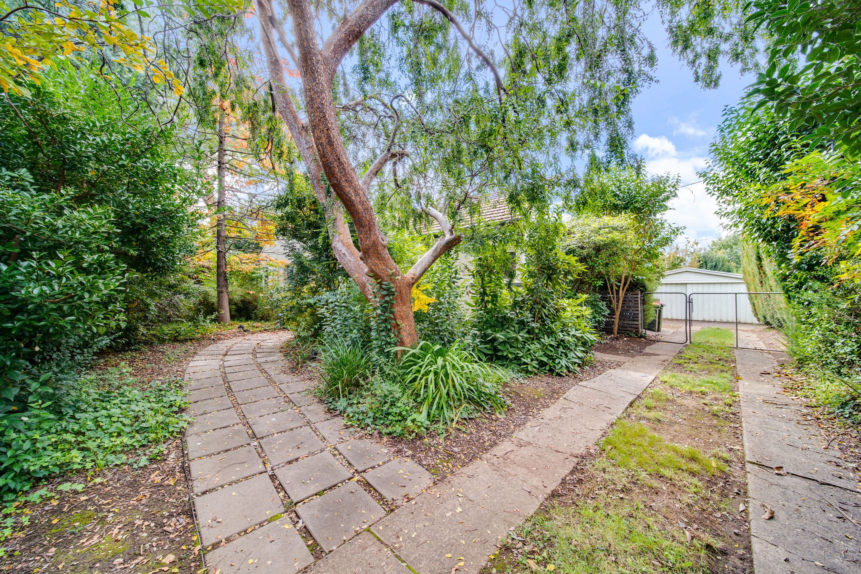 12 Spencer Street, Turner ACT 2612, Turner - Thumbnail 4