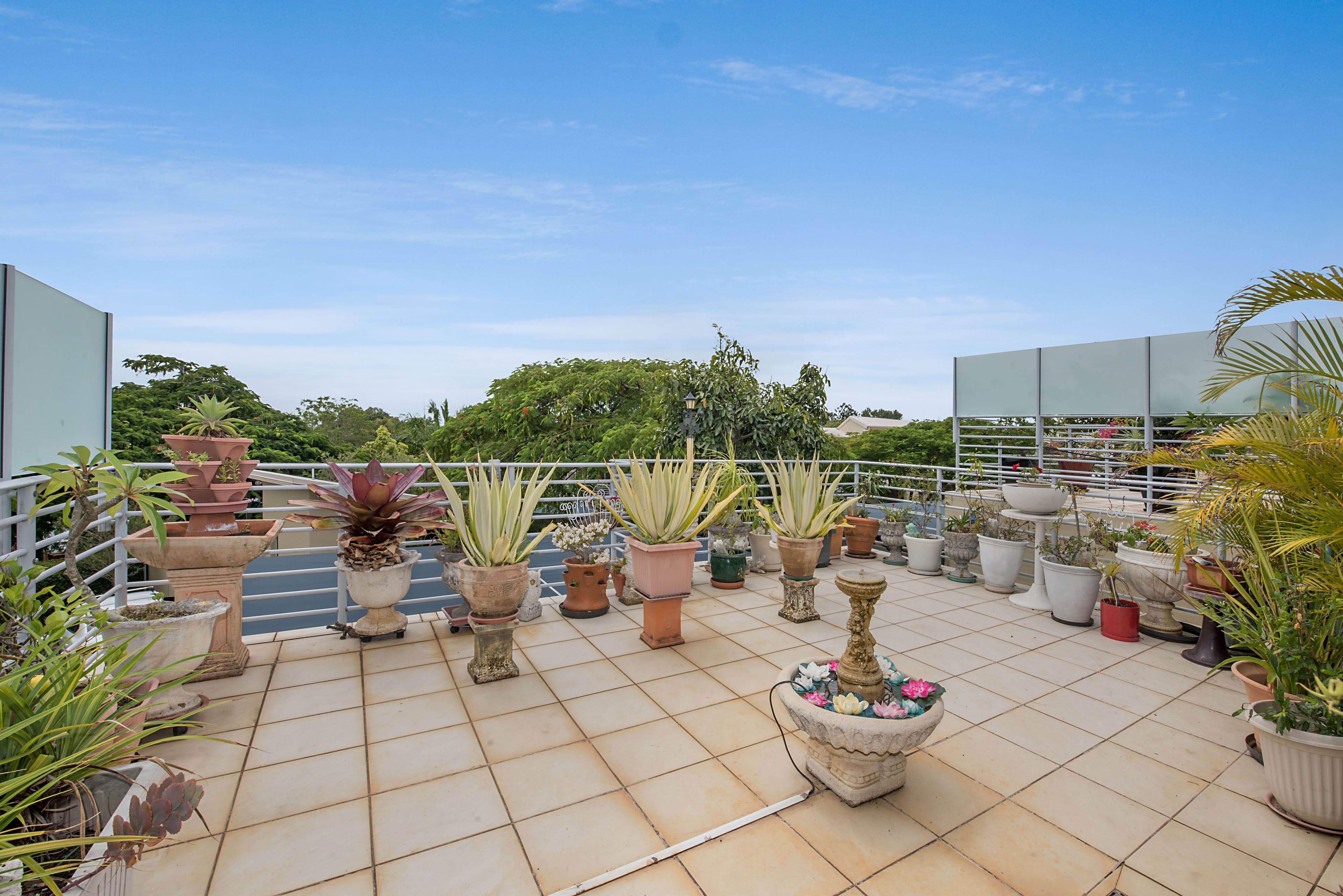 106 Burnett Street, Buderim QLD 4556, Buderim - Thumbnail 6