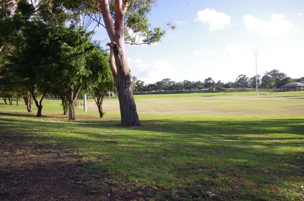 4 Macdonald Avenue, PADBURY WA 6025, Padbury - Thumbnail 3