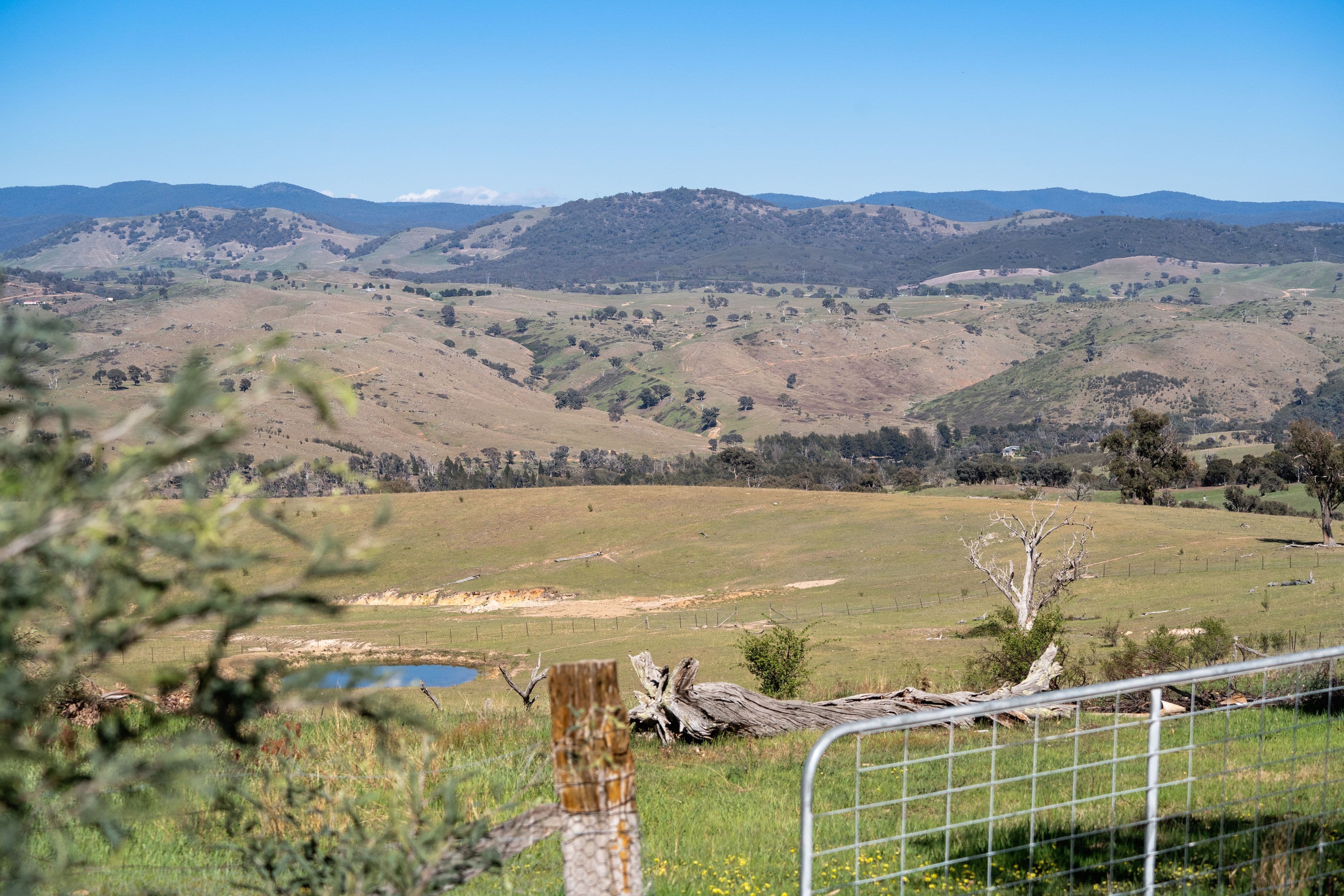 44 Holmwood Road, Wallaroo NSW 2618, Wallaroo - Thumbnail 3