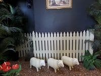 86 Whitton Street, Narrandera - Thumbnail 7